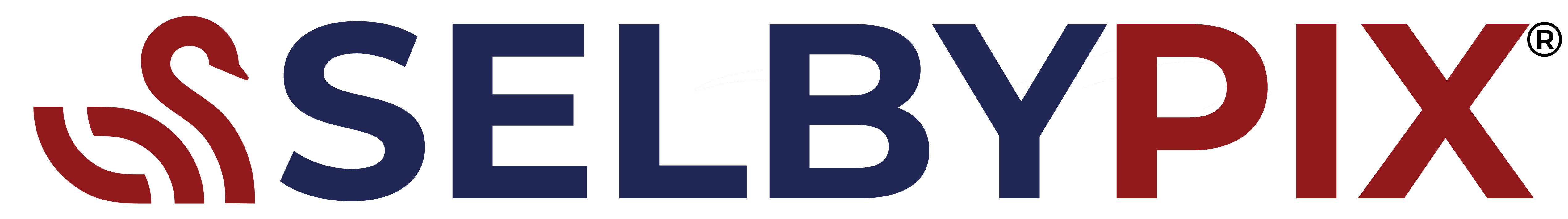 selbypixlogo2025